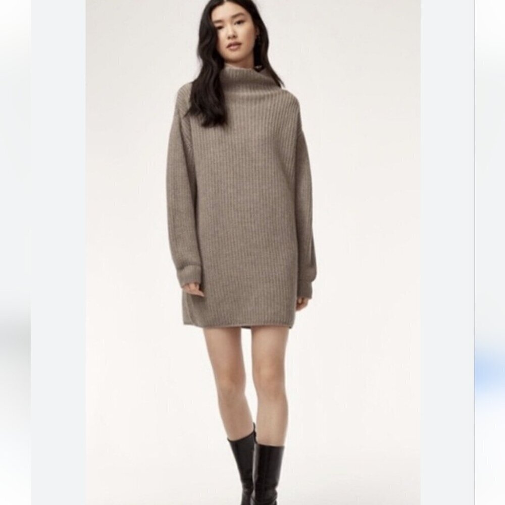 Aritzia Montpelier Sweater dress oatmeal size Small